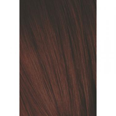 Краска для волос Schwarzkopf Professional Igora Royal 4-88 60 мл Фото 1