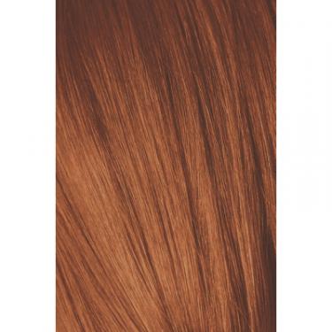 Краска для волос Schwarzkopf Professional Igora Royal 7-77 60 мл Фото 1