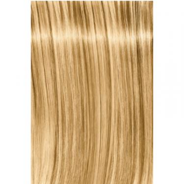 Краска для волос Schwarzkopf Professional Igora Royal Fashion lights L-00 Блонд натуральный Фото 1