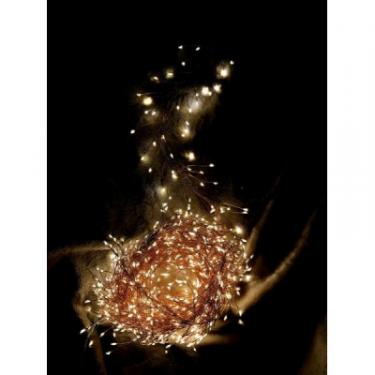 Гирлянда Luca Lighting кластер Мідна струна теплий білий 8 м Фото 2