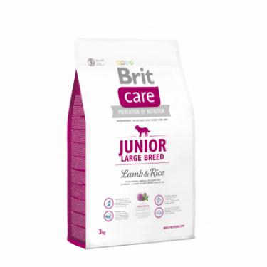 Сухой корм для собак Brit Care Junior Large Breed Lamb and Rice 3 кг Фото