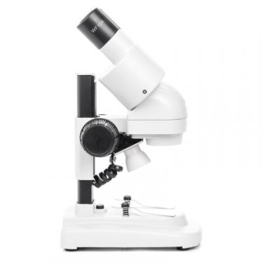 Микроскоп Sigeta MS-249 20x LED Bino Stereo Фото 1