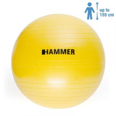 Мяч для фитнеса Hammer Gymnastics Ball 55 cm Anti-Burst System Фото
