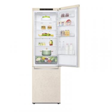 Холодильник LG GW-B509SEZM Фото 5