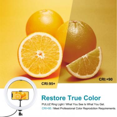 Набор блогера Puluz Ring USB LED lamp PKT3084B 4.7" + table stand Фото 5