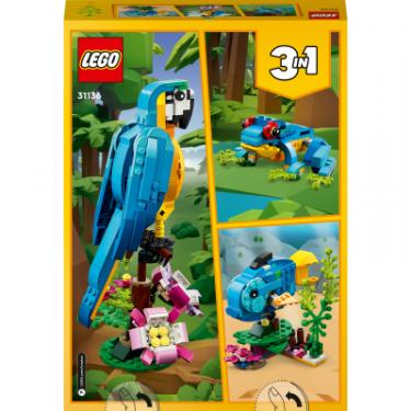 Конструктор LEGO Creator Екзотичний папуга 253 деталі Фото 9