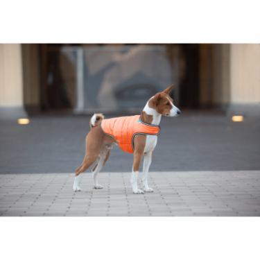 Курточка для животных Airy Vest XS помаранчева Фото 2