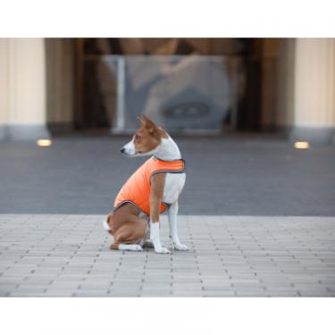 Курточка для животных Airy Vest XS помаранчева Фото 4