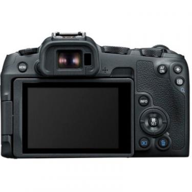 Цифровой фотоаппарат Canon EOS R8 + RF 24-50mm f/4.5-6.3 IS STM Фото 11