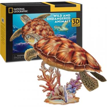 Пазл Cubic Fun 3D Зникаючі тварини Морська черепаха Фото 4