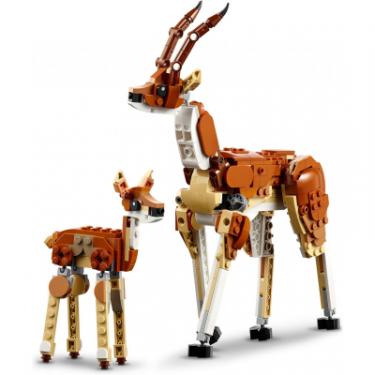 Конструктор LEGO Creator Дикі тварини сафарі 780 деталей Фото 3