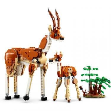 Конструктор LEGO Creator Дикі тварини сафарі 780 деталей Фото 7