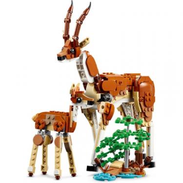 Конструктор LEGO Creator Дикі тварини сафарі 780 деталей Фото 8