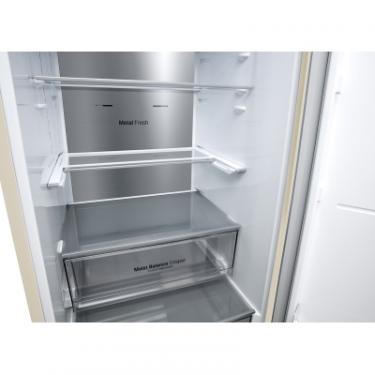 Холодильник LG GC-B509SESM Фото 9