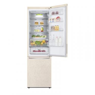 Холодильник LG GC-B509SESM Фото 3