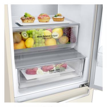 Холодильник LG GC-B509SESM Фото 4