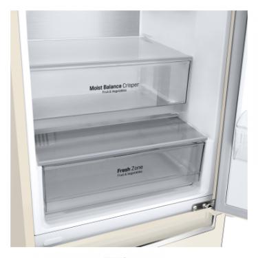 Холодильник LG GC-B509SESM Фото 5