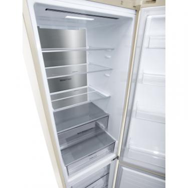 Холодильник LG GC-B509SESM Фото 7