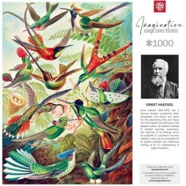 Пазл GoodLoot Imagination Ernst Haeckel Hummingbirds/Kolibry 100 Фото 4