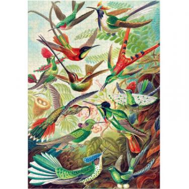 Пазл GoodLoot Imagination Ernst Haeckel Hummingbirds/Kolibry 100 Фото 8