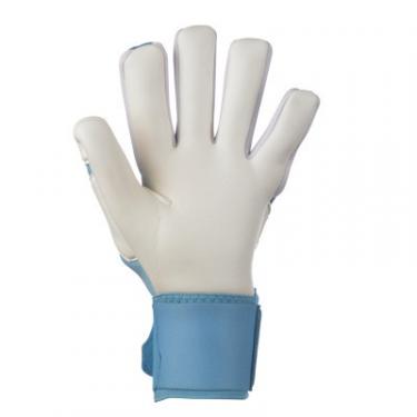 Вратарские перчатки Select Goalkeeper Gloves 33 601331-410 Allround синій, бі Фото 1