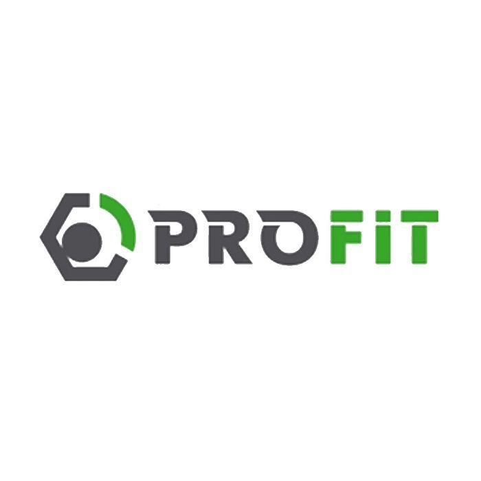 Воздушный фильтр для автомобиля Profit 1512-4214 Фото