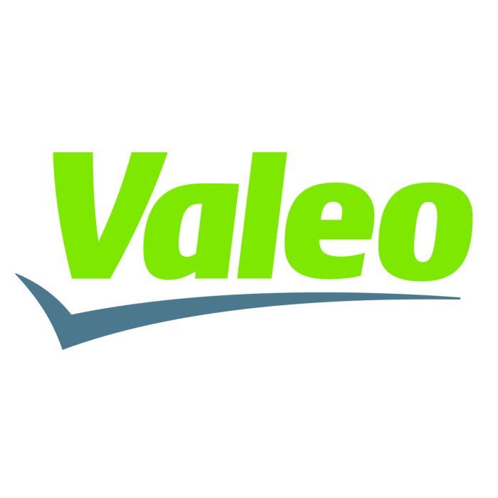 Воздушный фильтр для автомобиля Valeo 585431 Фото