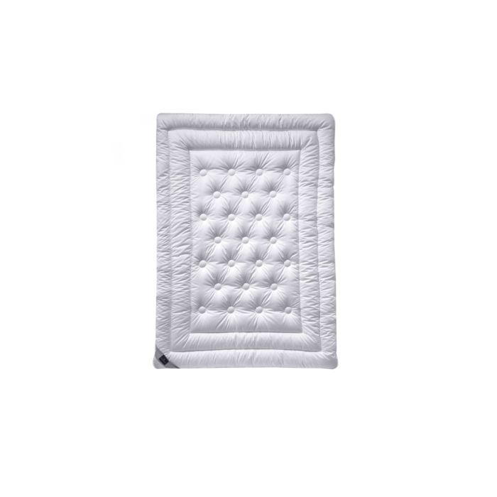 Одеяло Billerbeck 341 Meisterkl. Superlight 200x220 см Фото