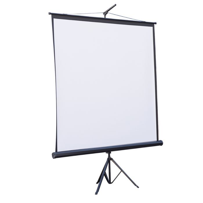 Проекционный экран Atria TRM-NTSC-120D Фото