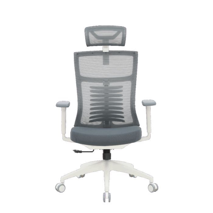 Офисное кресло OfficePro Balance OC550-W-DG-DG Фото