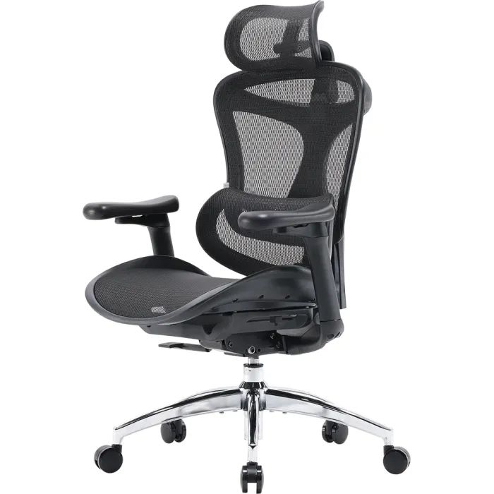 Офисное кресло Sihoo DORO C300L Mesh Black Фото