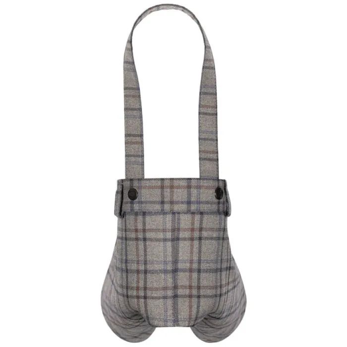 Брюки для животных Pet Fashion Leon XS2 Фото